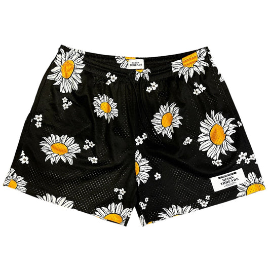 White Sun Flowers