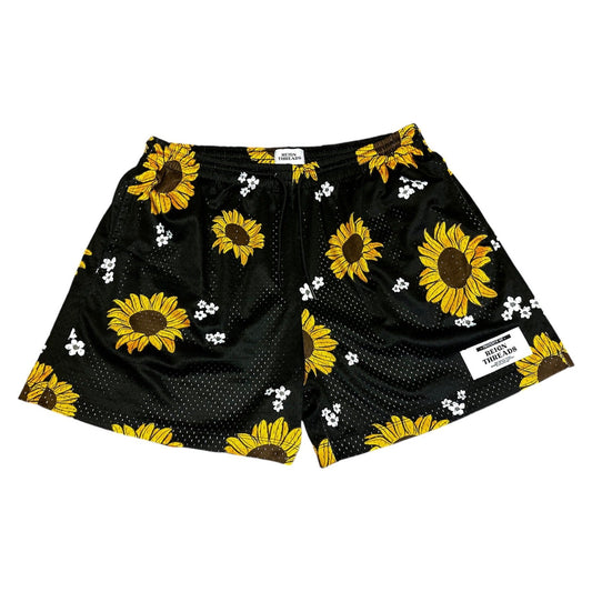 Yellow Sun Flowers